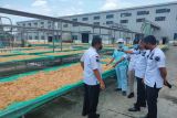 Imigrasi Sulsel awasi pekerja asing dua perusahaan di Pinrang dan Barru