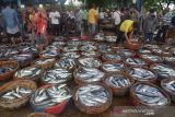 TINGKATKAN KONSUMSI IKAN CEGAH STUNTING. Buruh menata sejumlah ikeranjang berisi ikan  saat berlangsung proses lelang di Pelabuhan Perikanan Samudera, Lampulo, Banda Aceh, Kamis (21/10/2021). Kementerian Kelautan dan Perikanan (KKP) bersama-sama lembaga Food Bank of Indonesia (FoI) membuat kampanye bertajuk 