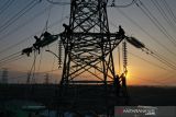 Pemerintah tetapkan arah kebijakan energi nasional dukung transformasi ekonomi hijau
