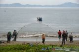 TANGKAPAN PUKAT DARAT TRADISIONAL. Nelayan menarik pukat pantai dari daratan di Kampung Jawa, Banda Aceh, Aceh, Kamis (21/10/2010). Nelayan tradisonal yang masih menggunakan pukat darat di daerah itu menyatakan hasil tangkapan ikan menurun akibat faktor cuaca sejak sepekan terakhir. ANTARA FOTO/Ampelsa.