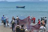 TANGKAPAN PUKAT DARAT TRADISIONAL. Nelayan menarik pukat pantai dari daratan di Kampung Jawa, Banda Aceh, Aceh, Kamis (23/9/2010). Nelayan tradisonal yang masih menggunakan pukat darat di daerah itu menyatakan hasil tangkapan ikan menurun akibat faktor cuaca sejak sepekan terakhir. ANTARA FOTO/Ampelsa.