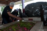 Gubernur Jateng Ganjar Pranowo (Kiri) menaburkan bunga di pusara Makam Presiden Soekarno, Kota Blitar, Jawa Timur, Minggu (24/10/2021). Selain berkunjung ke kawasan Makam Presiden Soekarno,  Ganjar Pranowo mengunjungi pusat budidaya bunga anggrek di kawasan lereng gunung arjuna. Antara Jatim/Irfan Anshori/zk