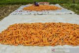 Petani menjemur jagung untuk bahan baku pakan ternak di Dusun Sukamanah, Kabupaten Ciamis, Jawa Barat, Selasa (26/10/2021). Kementerian Pertanian menyiapkan langkah strategis dalam memenuhi kebutuhan jagung untuk pakan ternak dengan meningkatkan produktivitas, pengelolaan pascapanen dan membuka akses pasar baik lokal maupun nasional. ANTARA FOTO/Adeng Bustomi/agr