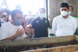 Budidaya maggot jadi solusi kurangi sampah organik