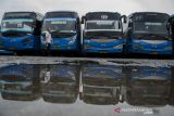 Supir berjalan di depan bus yang tidak beroperasi di pool (pangkalan) Bus Damri, Bandung, Jawa Barat, Kamis (28/10/2021). Perum Damri menghentikan sementara operasional delapan dari 11 rute bus kota di wilayah Bandung Raya akibat mengalami kerugian dan kesulitan dalam kinerja keuangan perusahaan. ANTARA FOTO/Novrian Arbi/agr