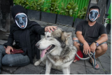 Relawan komunitas pecinta hewan melakukan aksi diam dengan topeng anjing di Solo, Jawa Tengah, Rabu (27/10/2021). Aksi tersebut sebagai bentuk solidaritas dan peryataan sikap keprihatinan atas dugaan penganiayaan yang dilakukan oknum Satpol PP terhadap seekor anjing bernama Canon di Pulau Banyak, Aceh. ANTARA FOTO/Mohammad Ayudha/foc. 