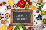 Pakar: Immunity boosters bisa didapat dari sayur dan buah segar