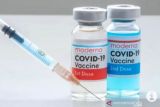 FDA AS setujui Vaksin COVID-19 terbaru Moderna untuk lansia