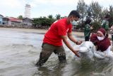 SIMULASI PENANGANAN MAMALIA LAUT TERDAMPAR. Dokter hewan dari WWF Indonesia Dwi Suprapti (kanan) dan Dokter hewan BKSDA Aceh Rian Ferdian (kiri) memperagakan penanganan mamalia laut terdampar di pesisir pantai Ulee Lheu, Banda Aceh, Aceh, Selasa (2/11/2021). Fakultas Kedokteran Hewan Universitas Syiah Kuala bersama yayasan WWF Indonesia yang difasilitasi Indonesia Aquatic Megafauna - Flying Vet (I AM Flying Vet Indonesia) dan Balai Pengelolaan Sumberdaya Pesisir dan Laut (BPSPL) wilayah Padang Satker Aceh menggelar pelatihan penanganan mamalia laut terdampar sebagai upaya meningkatkan kapasitas serta ketersediaan sumber daya manusia lembaga terkait maupun pegiat konservasi di daerah yang memiliki potensi tinggi ditemukannya mamalia laut yang terdampar. ANTARA FOTO/Irwansyah Putra