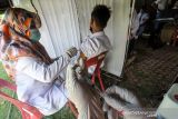 Vaksin COVID-19 pelajar SMP. Petugas kesehatan bersiap menyuntikkan vaksin COVID-19 dosis pertama kepada siswa SMP di Lhokseumawe, Aceh, Selasa (2/11/2021). Dinas Kesehatan bekerja sama dengan TNI-Polri melakukan percepatan vaksinasi COVID-19 bagi pelajar remaja usia 12-17 tahun yang hingga pertengahan Oktober 2021 cakupan vaksinasi dosis pertama pelajar baru 2,8 persen dari total target sekitar 577.015 orang. ANTARA/Rahmad