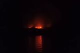 BTNK sebutkan komodo aman saat kebakaran di Pulau Rinca