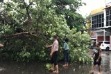 BPBD Mataram segera mengaktifkan posko terpadu penanganan dampak bencana
