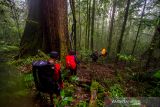 Jalur menuju lokasi penanaman kopi di Dusun Pantai Mangkiling, Kabupaten Hulu Sungai Tengah, Kalimantan Selatan, Kamis (4/11/2021). Posko Meratus bersama Serikat Petani Indonesia (SPI) Kalsel dan Pokdarwis Datu Maningkat menyelanggarakan penanaman bibit kopi jenis arabika di ketinggian 1000 MDPL pada 12 hingga 14 Nopember 2021 untuk melestarikan lingkungan alam Pegunungan Meratus dan mengajak para pecinta alam dan masyarakat umum dengan biaya registrasi Rp250 ribu per orang. Foto Antaranews Kalsel/Dok-Posko Meratus/Bay.