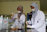 Mahasiswa FTS UMP ciptakan sabun cuci tangan antibakteri dari pelepah pisang