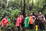 Polisi temukan ladang ganja seluas 0,5 hektare di hutan adat kerinci
