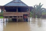 Banjir di Mamuju Tengah akibat tanggul jebol