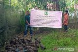 PKM Faterna Unand Susun Program Pengembangan Usaha Ternak Itik Pitalah di Nagari Surian, Kabupaten Solok