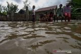 Banjir landa Aceh Utara. Sejumlah anak berenang dalam banjir yang merendam Desa Ampeh, Kecamatan Tanah Luas, Aceh Utara, Selasa (9/11/2021). Banjir akibat luapan sungai yang tidak mampu menampung tingginya intensitas hujan itu menerjang Tiga kecamatan di Aceh Utara dan ratusan jiwa warga dilaporkan mulai mengungsi. ANTARA FOTO/Rahmad