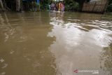 Banjir landa Aceh Utara. Sejumlah anak berenang dalam banjir yang merendam Desa Ampeh, Kecamatan Tanah Luas, Aceh Utara, Selasa (9/11/2021). Banjir akibat luapan sungai yang tidak mampu menampung tingginya intensitas hujan itu menerjang Tiga kecamatan di Aceh Utara dan ratusan jiwa warga dilaporkan mulai mengungsi. ANTARA FOTO/Rahmad