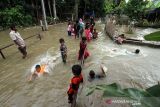 Banjir landa Aceh Utara. Sejumlah anak berenang dalam banjir yang merendam Desa Ampeh, Kecamatan Tanah Luas, Aceh Utara, Selasa (9/11/2021). Banjir akibat luapan sungai yang tidak mampu menampung tingginya intensitas hujan itu menerjang Tiga kecamatan di Aceh Utara dan ratusan jiwa warga dilaporkan mulai mengungsi. ANTARA FOTO/Rahmad