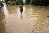 Banjir landa Aceh Utara. Sejumlah anak berenang dalam banjir yang merendam Desa Ampeh, Kecamatan Tanah Luas, Aceh Utara, Selasa (9/11/2021). Banjir akibat luapan sungai yang tidak mampu menampung tingginya intensitas hujan itu menerjang Tiga kecamatan di Aceh Utara dan ratusan jiwa warga dilaporkan mulai mengungsi. ANTARA FOTO/Rahmad