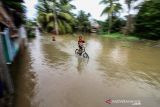 Banjir landa Aceh Utara. Sejumlah anak berenang dalam banjir yang merendam Desa Ampeh, Kecamatan Tanah Luas, Aceh Utara, Selasa (9/11/2021). Banjir akibat luapan sungai yang tidak mampu menampung tingginya intensitas hujan itu menerjang Tiga kecamatan di Aceh Utara dan ratusan jiwa warga dilaporkan mulai mengungsi. ANTARA FOTO/Rahmad