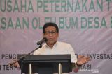 Mendes PDTT luncurkan Program Desa Peternakan Terpadu Berkelanjutan