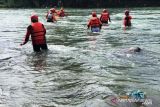 Bocah hanyut di kawasan Lubuk Begalung ditemukan  dalam kondisi meninggal dunia