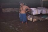 90 persen areal tambak nelayan Pulang Pisau tersapu banjir pasang