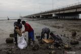 Sejumlah personel TNI Angkatan Laut bersama petugas DKRTH memunguti sampah saat digelarnya Program Laut Bersih (Prolasih) Koarmada II di pantai di dekat Jembatan Suramadu, Surabaya, Jawa Timur, Jumat (12/11/2021). Kegiatan yang merupakan program Karya Bakti TNI Angkatan Laut dan diikuti oleh TNI, Polri, Aparatur Sipil Negara (ASN) serta warga itu bertujuan untuk menciptakan wilayah maritim yang bersih, hijau dan asri serta bebas dari sampah maupun polutan.  Antara Jatim/Didik Suhartono/zk