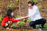 Jokowi tanam pohon bersama masyarakat NTB
