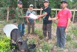 Petugas BBKSDA Riau selamatkan tapir terluka di Kuansing