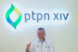 PTPN XIV genjot produksi sawit di Sulawesi Selatan