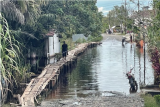 Warga berjalan di atas jembatan darurat di sebuah jalan yang terendam banjir di Kelurahan Akcaya, Kecamatan Sintang, Kabupaten Sintang, Kalimantan Barat, Sabtu (13/11/2021). Penduduk setempat membangun jembatan darurat tersebut untuk membantu pejalan kaki, pengendara motor dan pesepeda yang melintasi jalan yang terendam banjir. ANTARA FOTO/Jane Elisabeth Wuysang/JHW/wsj.