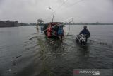 Banjir Rob Pekalongan