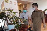Pemkab Kediri fasilitasi pembudidaya tanaman hias untuk pasar ekspor