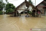 Warga memikul harta bendanya untuk keluar dari kepungan banjir di Desa Hagu, Kecamatan Matang Kuli, Aceh Utara, Aceh, Rabu (17/11/2021). Meluapnya Sungai Pirak dan Kereuto mengakibatkan 30 desa di empat kecamatan Aceh Utara terendam banjir hingga 150 centimeter dan mengakibatkan sebanyak 2.383 jiwa dilaporkan terdampak banjir. ANTARA FOTO/Rahmad