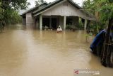 Warga memikul harta bendanya untuk keluar dari kepungan banjir di Desa Hagu, Kecamatan Matang Kuli, Aceh Utara, Aceh, Rabu (17/11/2021). Meluapnya Sungai Pirak dan Kereuto mengakibatkan 30 desa di empat kecamatan Aceh Utara terendam banjir hingga 150 centimeter dan mengakibatkan sebanyak 2.383 jiwa dilaporkan terdampak banjir. ANTARA FOTO/Rahmad