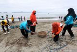 Mahasiswa dan pengajar Prodi Teknologi Laboratorium Medik (TLM) Poltekkes Kemenkes Aceh membersihkan sampah di pantai wisata Gampong Jawa, Banda Aceh, Aceh, Kamis (18/11/2021). Aksi bersih sampah di pantai wisata dan bantaran sungai Krueng Aceh itu untuk mengajak masyarakat peduli terhadap kebersihan lingkungan serta upaya untuk mewujudkan Indonesia sehat serta bebas sampah pada 2025. ANTARA/Irwansyah Putra