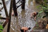 PDAM Tirta Raja stop pasokan air ke pelanggan akibat Sungai Ogan meluap