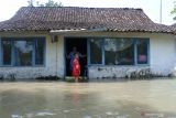 Warga berada di depan rumah yang terendam banjir di Desa Semboro, Semboro, Jember, Jawa Timur, Jumat (19/11/2021). Banjir kembali melanda Jember di tiga kecamatan yang berdampak terhadap 339 rumah, akibat curah hujan lebat melanda Jember sejak Kamis (18/11/2021) sore. Antara Jatim/Seno/zk