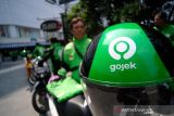 Gojek makin bersemi saat pandemi