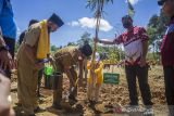 Gubernur Kalimantan Selatan Sahbirin Noor (dua kiri) melakukan penanaman jenis bambu betung saat hari menanam pihon Indonesia di Dusun Pantai Kopi, Kabupaten Banjar, Kalimantan Selatan, Senin (22/11/2021). Pemerintah Provinsi Kalimantan Selatn terus berupaya meningkatkan kualitas lingkungan terutama di Daerah Aliran Sungai (DAS) dengan menanam jenis bambu betung dari hasil kultur jaringan dan bambu kuning sebanyak 2500 batang. Foto Antaranews Kalsel/Bayu Pratama S.