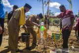 Gubernur Kalimantan Selatan Sahbirin Noor (dua kiri) melakukan penanaman jenis bambu betung saat hari menanam pihon Indonesia di Dusun Pantai Kopi, Kabupaten Banjar, Kalimantan Selatan, Senin (22/11/2021). Pemerintah Provinsi Kalimantan Selatn terus berupaya meningkatkan kualitas lingkungan terutama di Daerah Aliran Sungai (DAS) dengan menanam jenis bambu betung dari hasil kultur jaringan dan bambu kuning sebanyak 2500 batang. Foto Antaranews Kalsel/Bayu Pratama S.