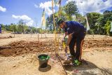 Ketua Komunitas Dangsanak Geopark Meratus M Farid Soufyan menanam jenis bambu betung saat hari menanam pihon Indonesia di Dusun Pantai Kopi, Kabupaten Banjar, Kalimantan Selatan, Senin (22/11/2021). Pemerintah Provinsi Kalimantan Selatn terus berupaya meningkatkan kualitas lingkungan terutama di Daerah Aliran Sungai (DAS) dengan menanam jenis bambu betung dari hasil kultur jaringan dan bambu kuning sebanyak 2500 batang. Foto Antaranews Kalsel/Bayu Pratama S.