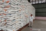 Pengadaan beras petani oleh Bulog Sumut capai 19.502 ton