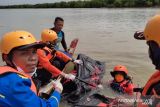 Tim SAR temukan bocah hanyut di Sungai Belawan