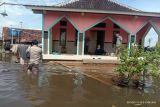 Banjir landa sejumlah wilayah di Kota Pekalongan