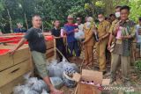 Kelompok pembudidaya ikan di Kabupaten OKU terima bantuan bibit ikan lele