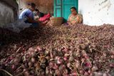 Petani membersihkan bawang merah usai dijemur untuk mengurangi kelembaban dampak banjir di Tulungagung, Jawa Timur, Selasa (23/11/2021). Banjir yang menggenang persawahan setempat menyebabkan hasil panen bawang merah daerah ini turun drastis, dari biasanya bisa menapai Rp15 ribu per kilogram kini tinggal Rp5 ribuan karena kadar air yang tinggi biasanya memicu pembusukan. Antara Jatim/Destyan Sujarwoko/zk